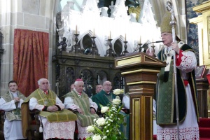 arcybiskup jędraszewski w katedrze wawelskiej